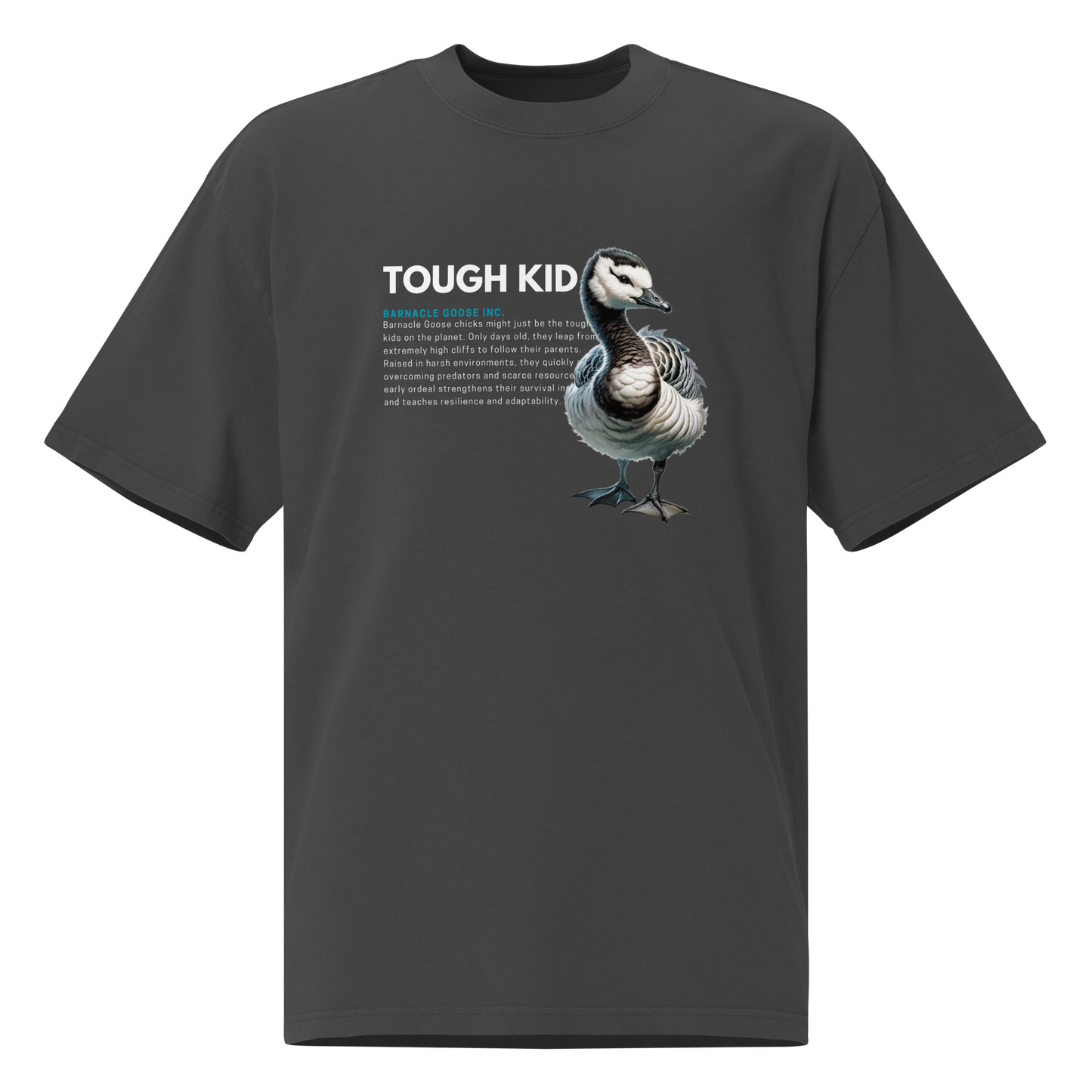Oversized faded t-shirt | Barnacle Goose - TOUGH KID