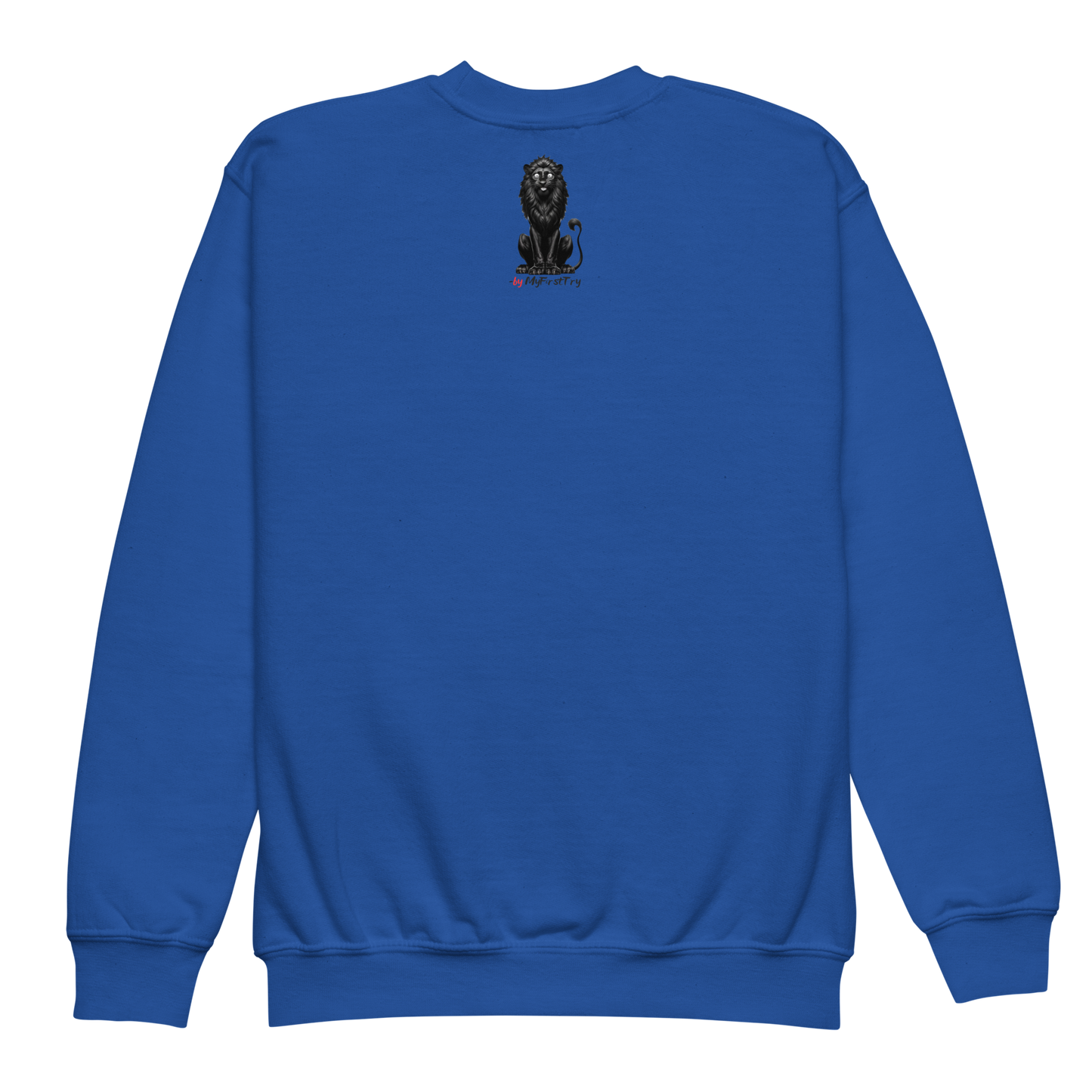 Youth Crewneck Sweatshirt | Barnacle Goose - TOUGH KID